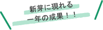 新芽に現れる一年の成果!!