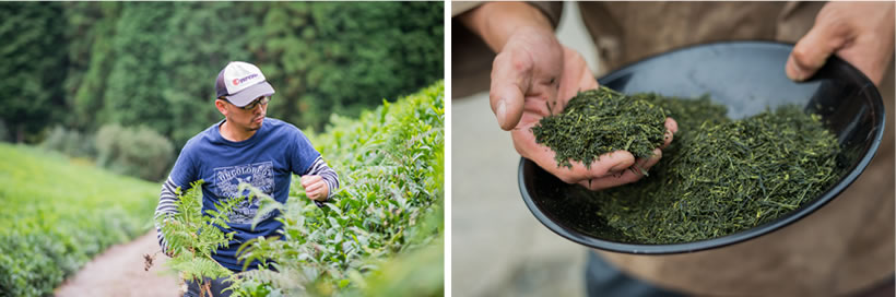 私自身が農業体験で得たもの、感じたこと。